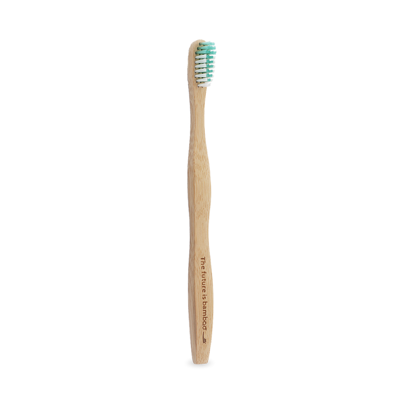 Adult Soft Toothbrush - Minty Green