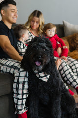 Organic Holiday Pet Bandana