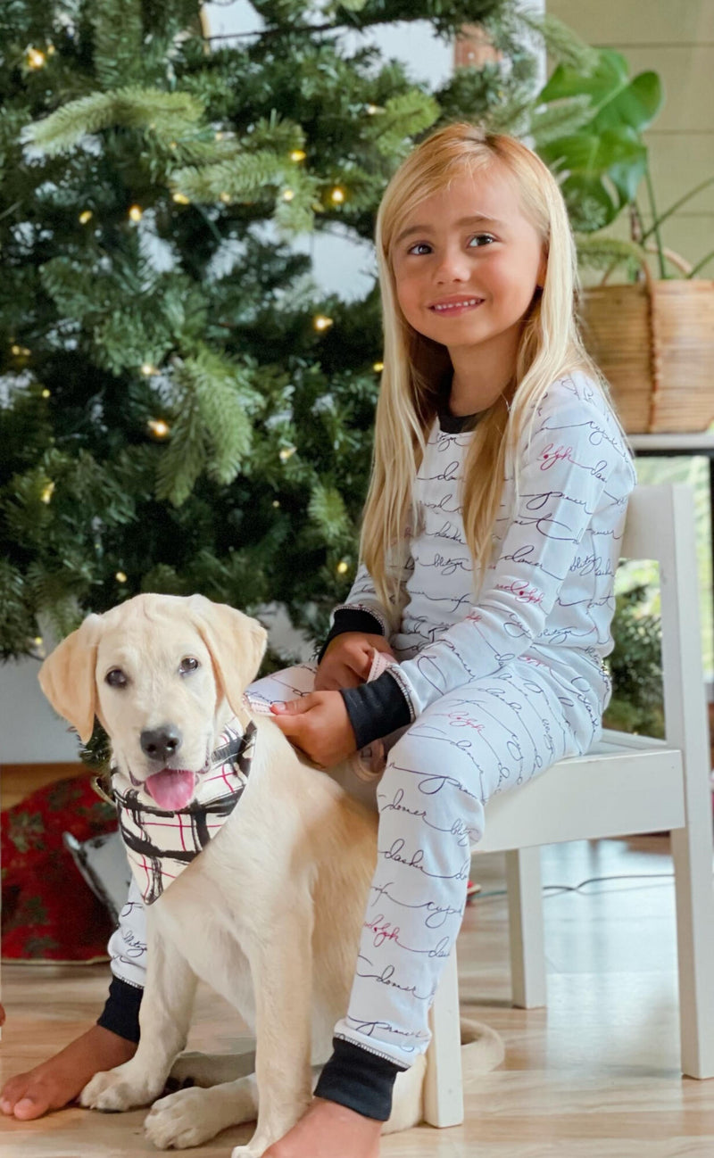 Organic Holiday Pet Bandana