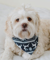 Organic Holiday Pet Bandana