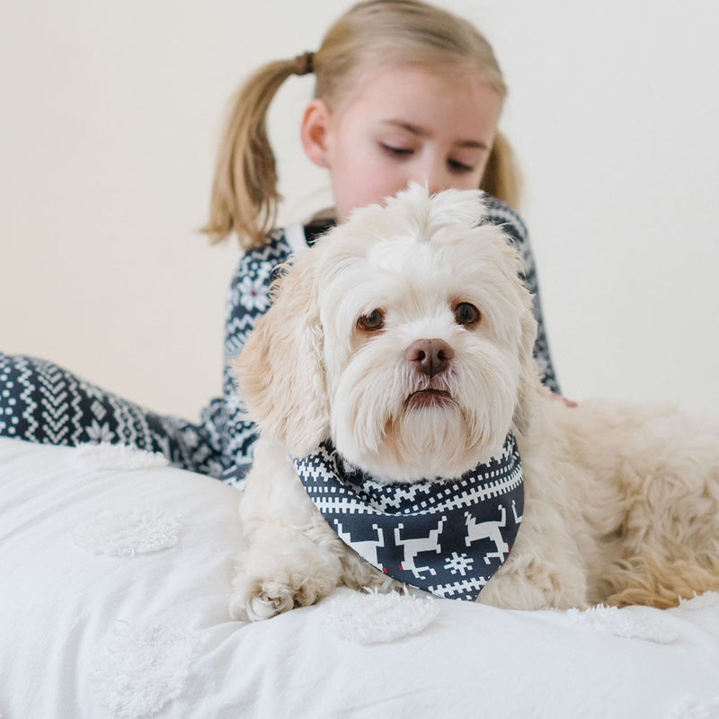 Organic Holiday Pet Bandana