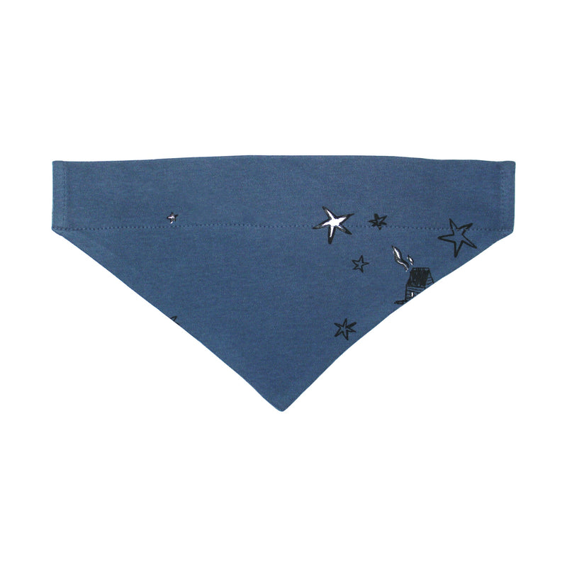 Organic Holiday Pet Bandana