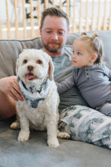 Organic Holiday Pet Bandana